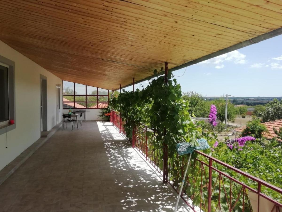 Apartmán Elena Benkovac Exteriér fotografie
